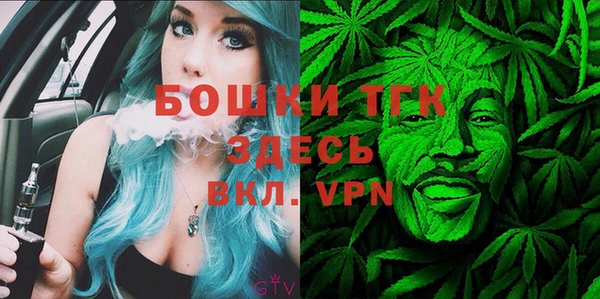 сатива Дмитриев