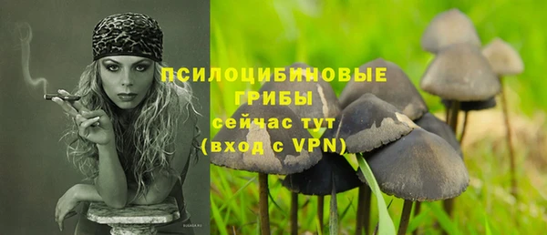 соль ск Дмитровск