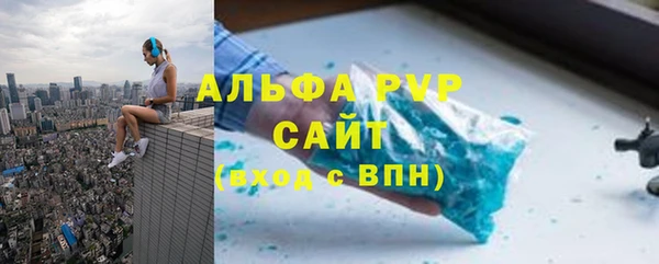 сатива Дмитриев