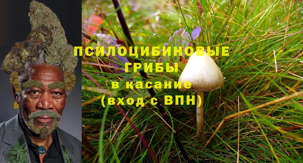 соль ск Дмитровск