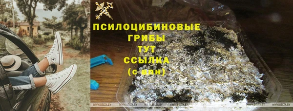 ешки Щигры