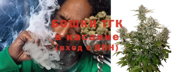 сатива Дмитриев