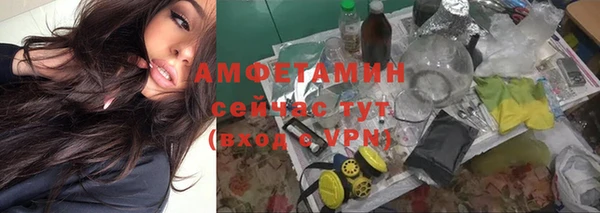 соль ск Дмитровск